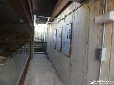 Comida NAVIDAD 2025-Caminos,dehesas Montejo de la Sierra; viajes camino de santiago madrid finlandia